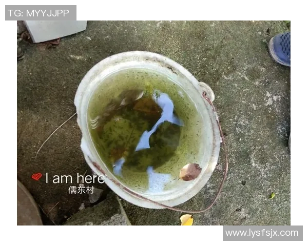 S15电竞总决赛CSGO解读RNG如何实现对对手的全面压制策略 S15电竞总决赛CSGO解读RNG如何实现对对手的全面压制策略