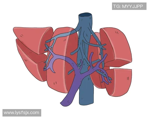 刘芳畅谈DOTA2职业生涯与游戏发展历程的深度专访回顾实时数据